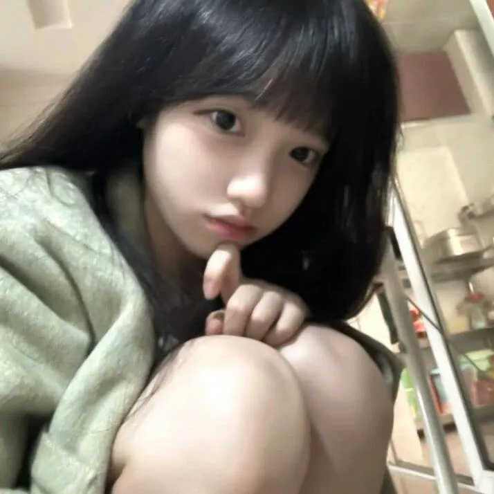 美国鼠谭4：寻找夜中的野兽